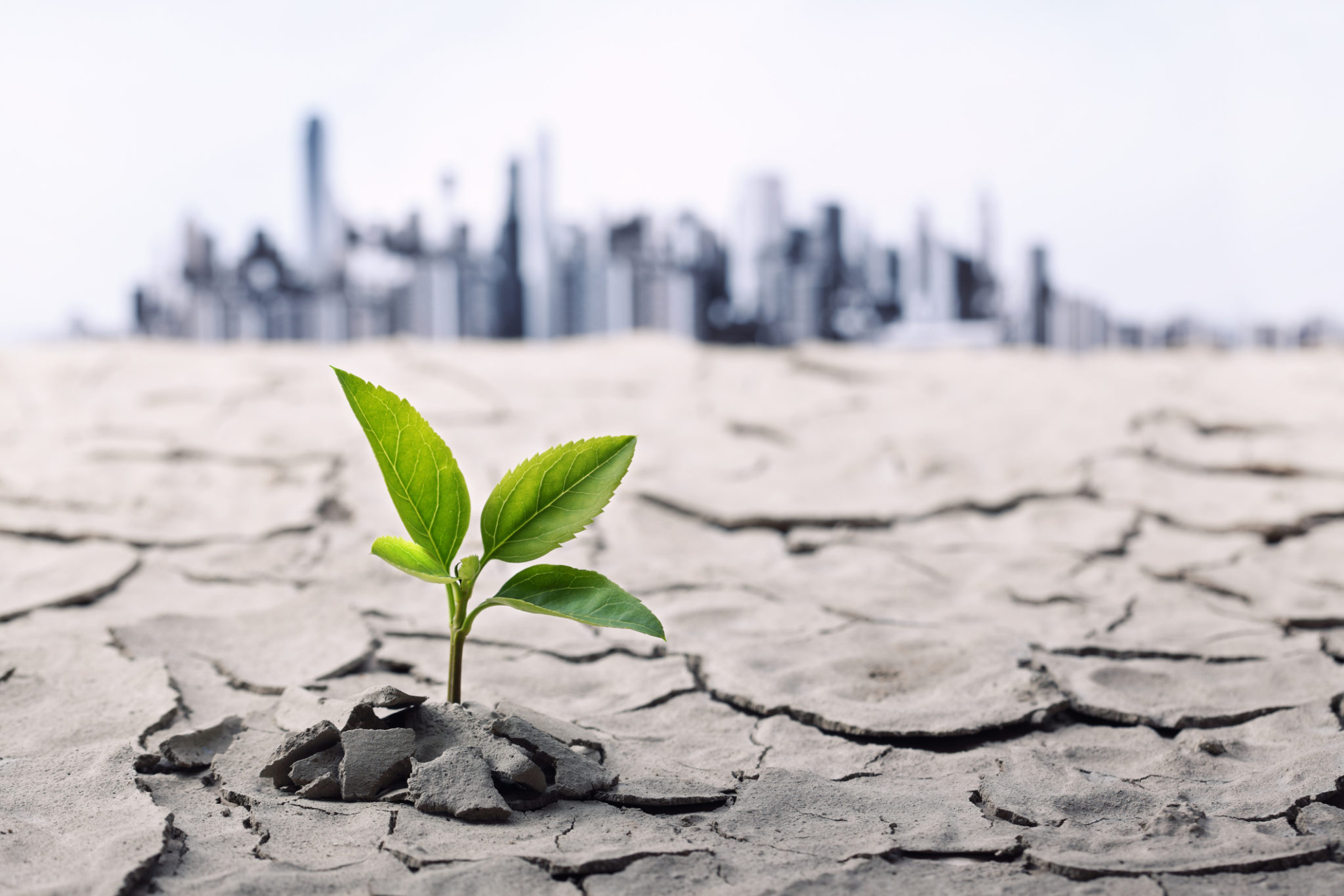 An Environmentally Friendly Business Guaranteed to Grow: Does It Exist? - Accelerated MFG Brokers