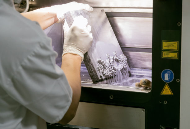 Dental technician taking dentures out of 3D powder printer 3D Printing