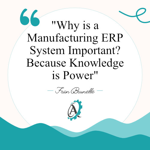 An ERP System Will Bring a Higher Price for your business
